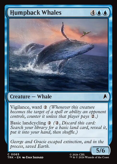Humpback Whales 65