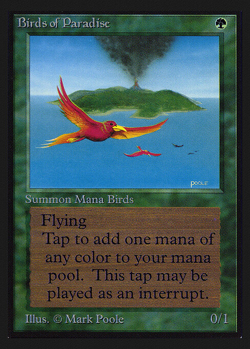 Birds of Paradise 187