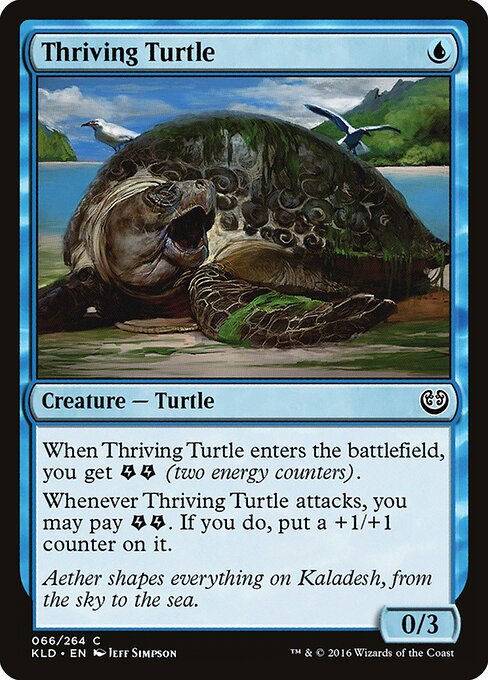 Thriving Turtle 66