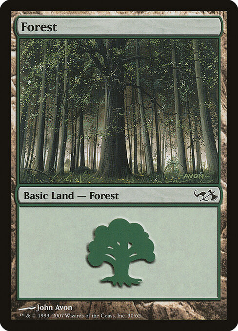 Forest 30