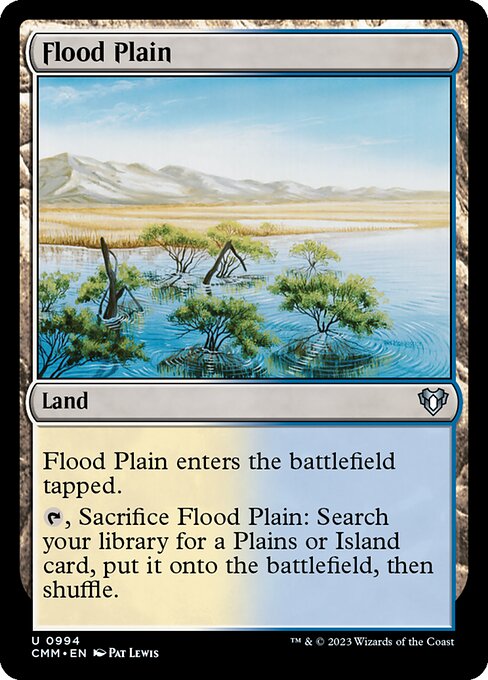 Flood Plain 994