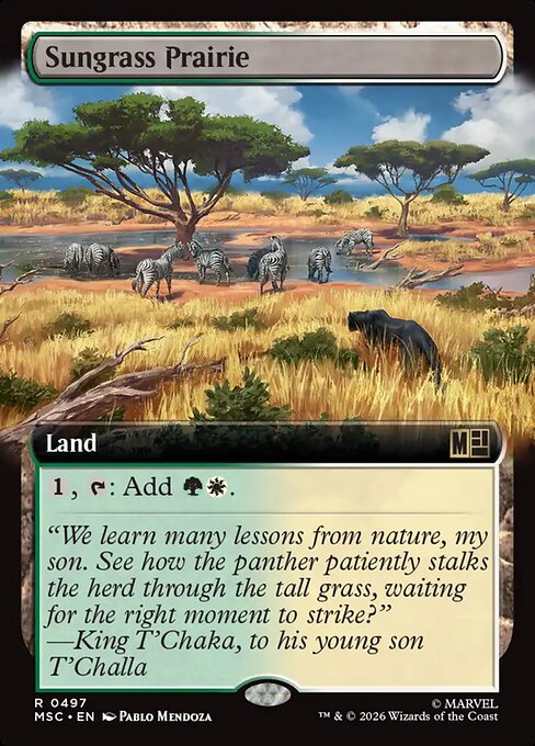 Sungrass Prairie 497