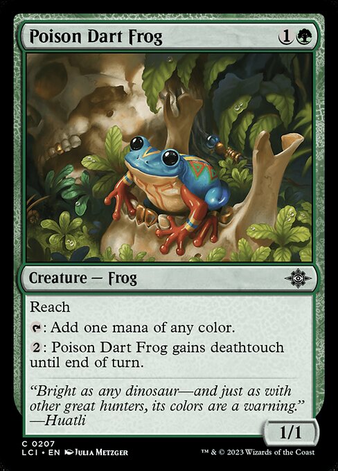 Poison Dart Frog 207