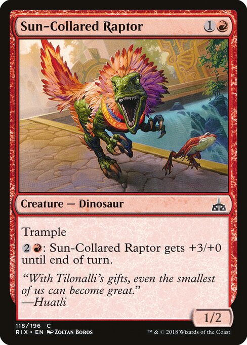 Sun-Collared Raptor 118