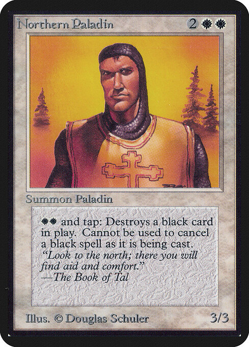Northern Paladin 29