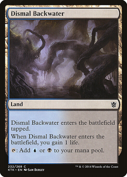 Dismal Backwater 232