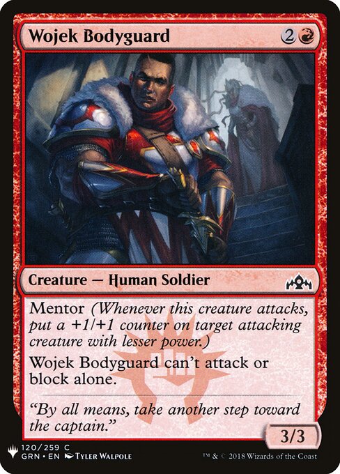 Wojek Bodyguard GRN-120