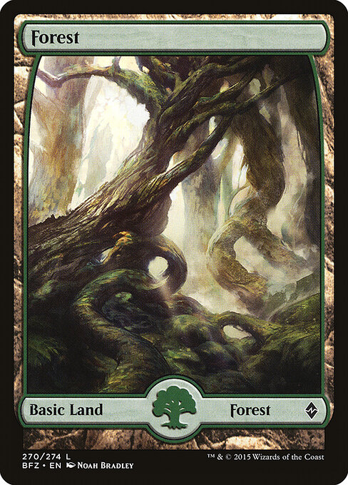 Forest 270
