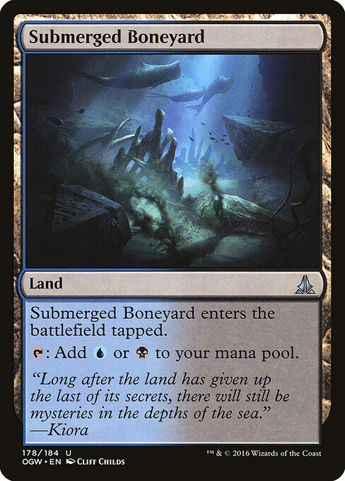 Submerged Boneyard 178
