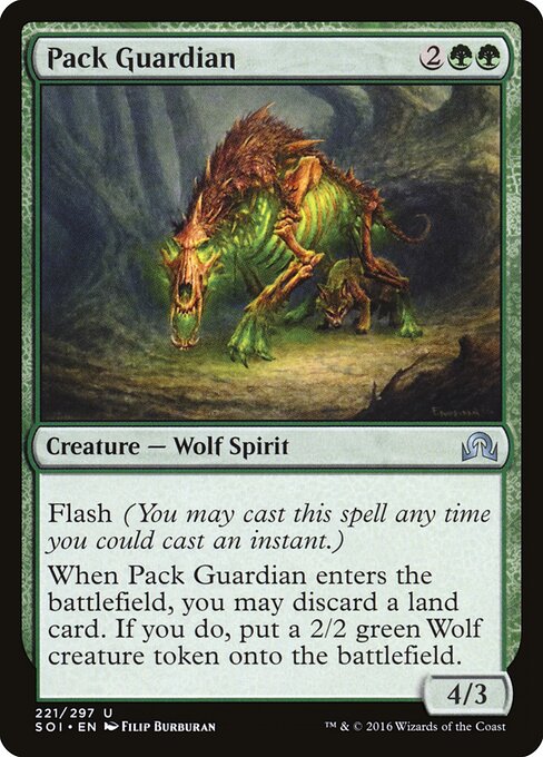 Pack Guardian 221