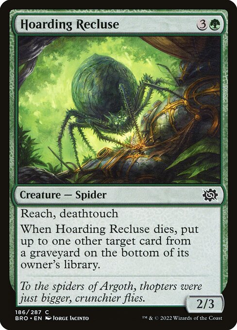 Hoarding Recluse 186
