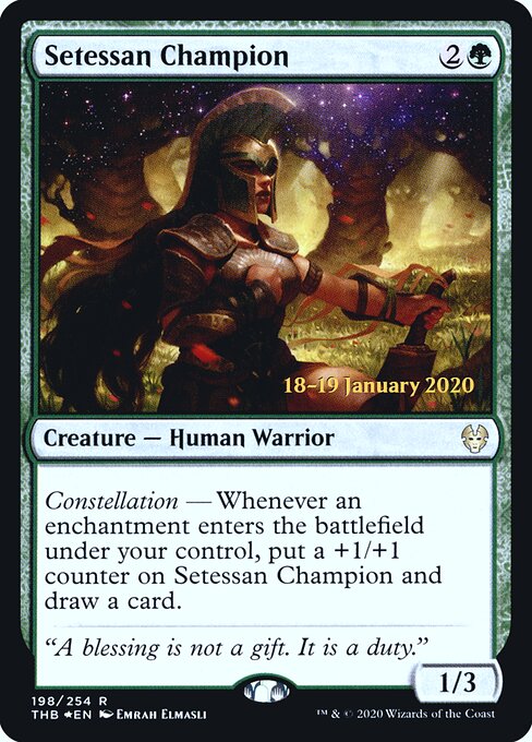 Setessan Champion 198s