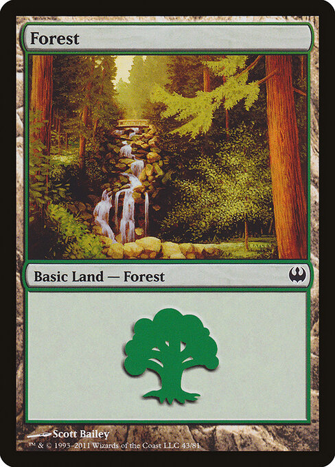 Forest 43