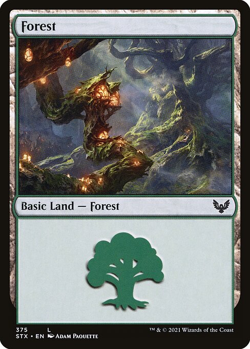 Forest 375