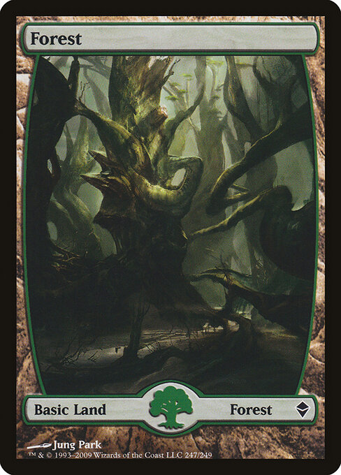 Forest 247