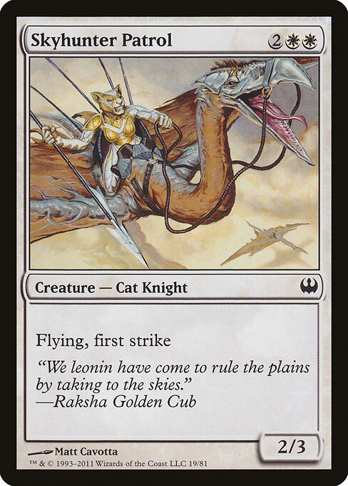 Skyhunter Patrol 19