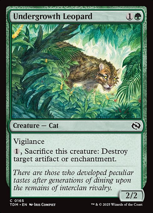 Undergrowth Leopard 165