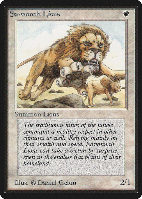 Savannah Lions 39