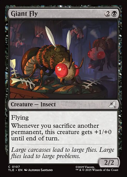 Giant Fly 107