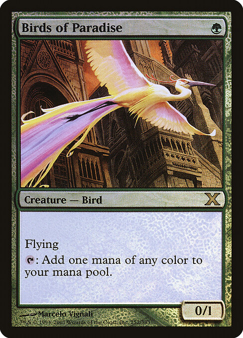 Birds of Paradise 252★
