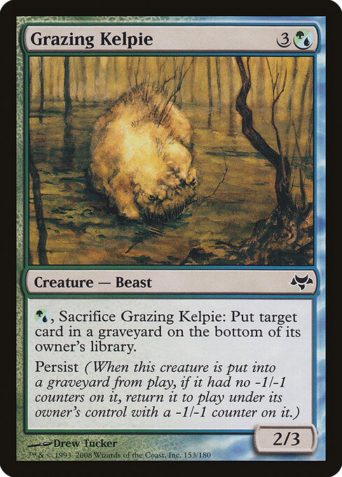 Grazing Kelpie 153