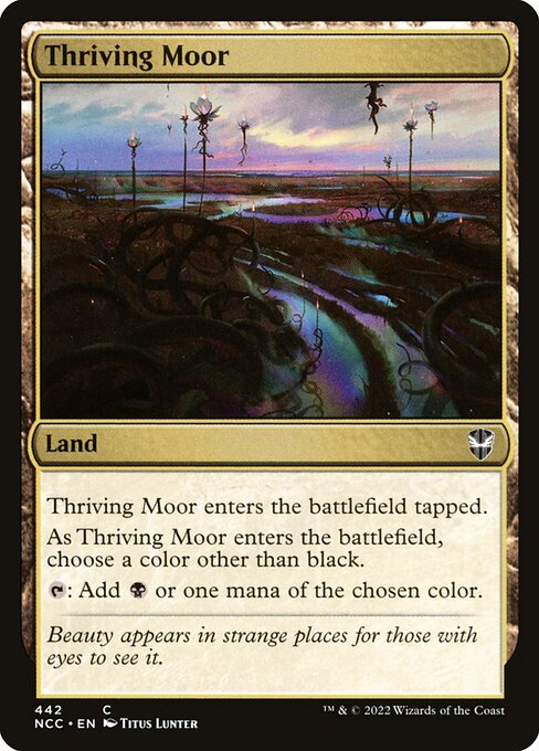 Thriving Moor 442
