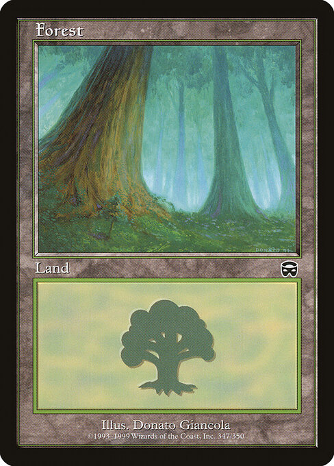 Forest 347