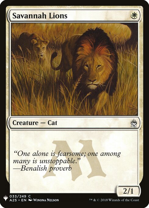 Savannah Lions A25-33