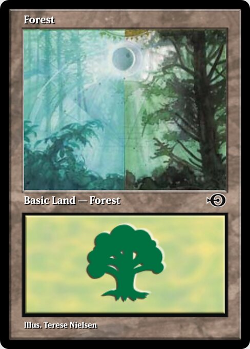 Forest 269