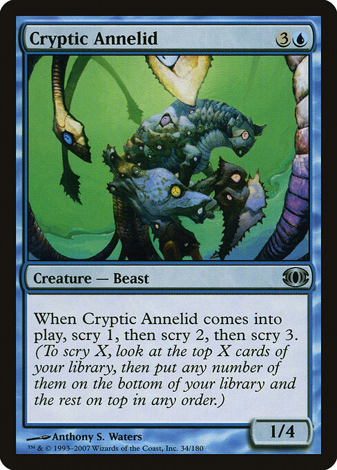 Cryptic Annelid 34