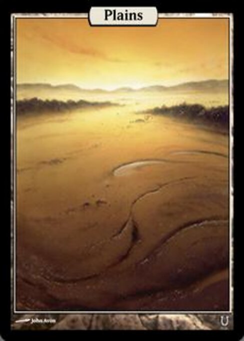 Plains 308