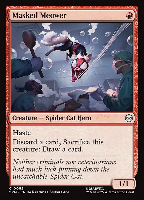 Masked Meower 82