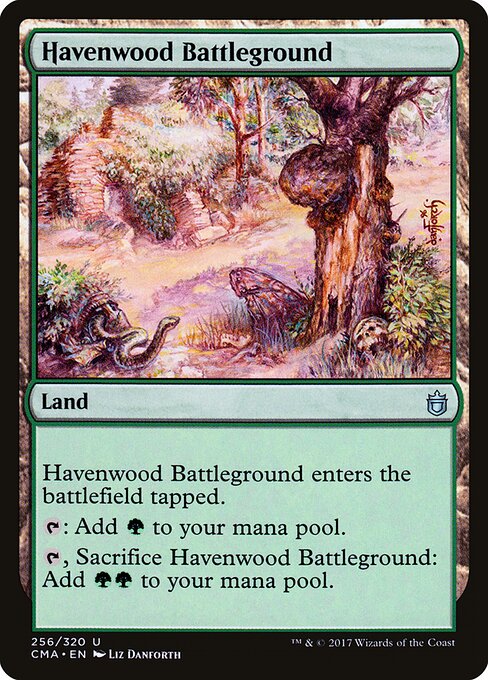 Havenwood Battleground 256