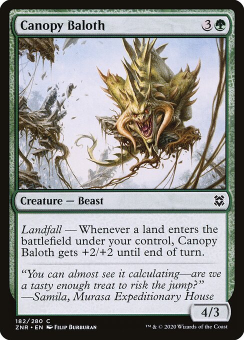 Canopy Baloth 182