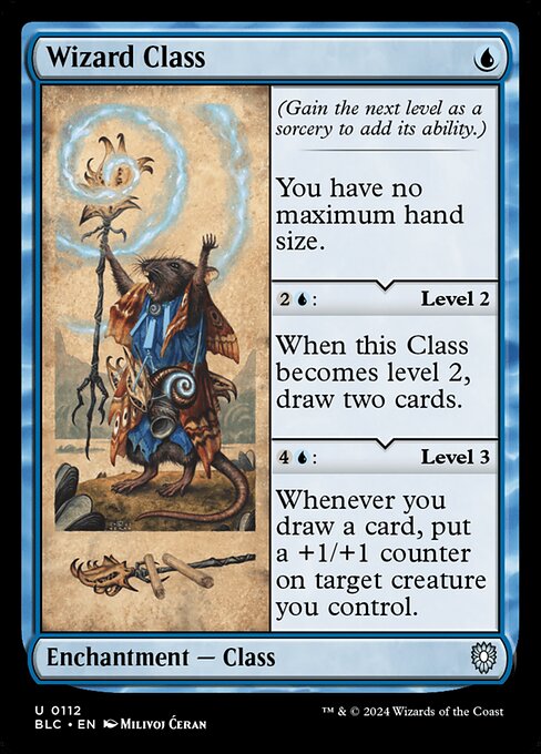 Wizard Class 112