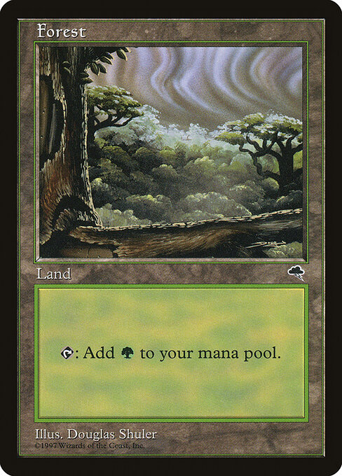Forest 349