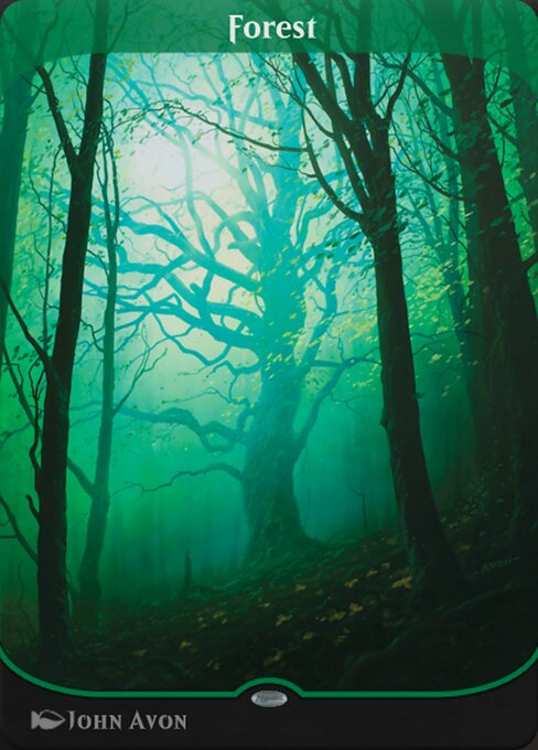 Forest 245