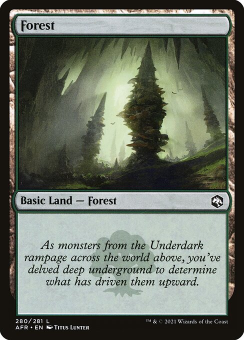 Forest 280