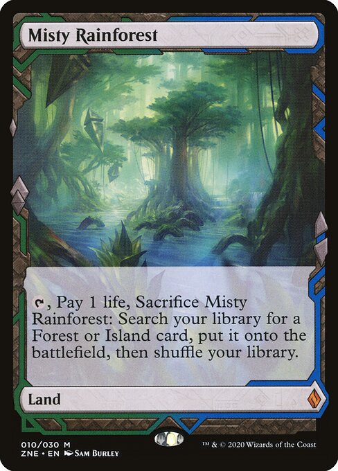 Misty Rainforest 10
