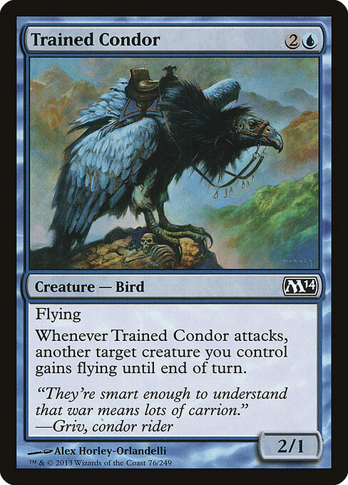Trained Condor 76