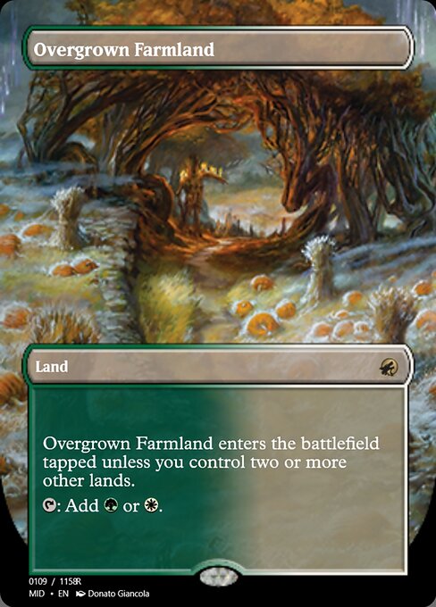 Overgrown Farmland 94098