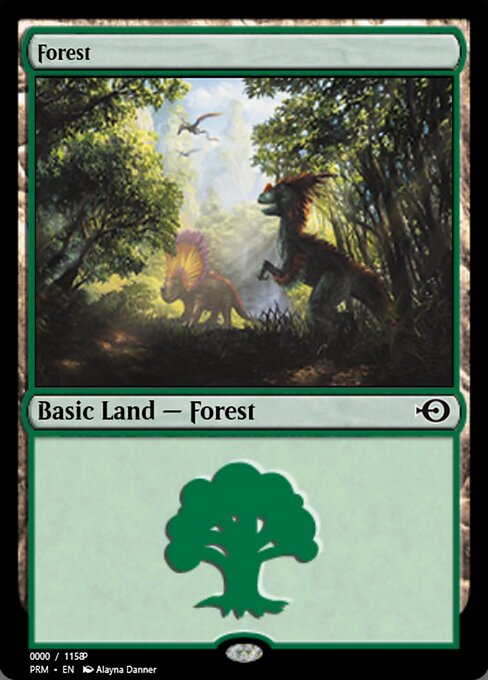 Forest 81872