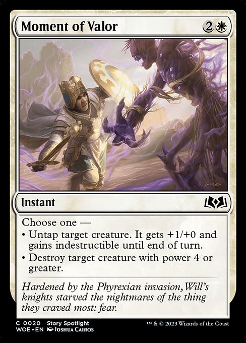 Moment of Valor 20