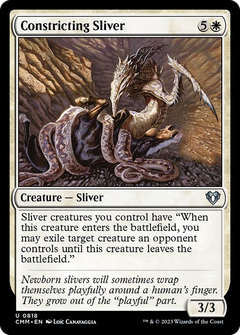 Constricting Sliver 818
