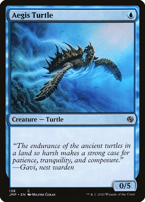 Aegis Turtle 138