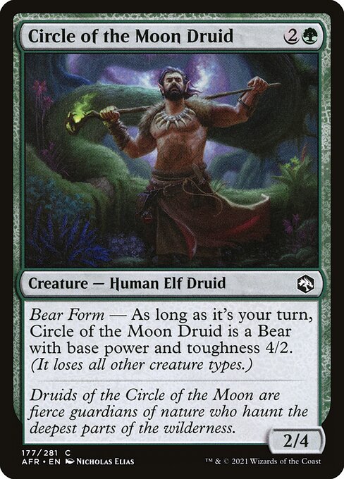 Circle of the Moon Druid 177