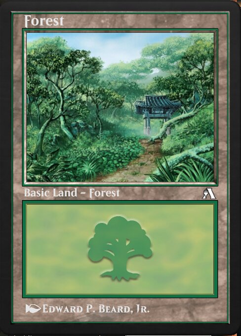 Forest 33
