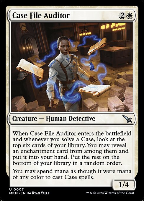 Case File Auditor 7