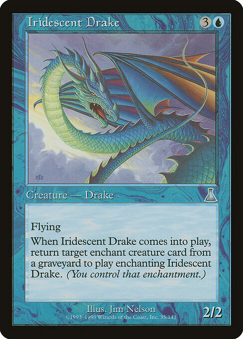Iridescent Drake 35