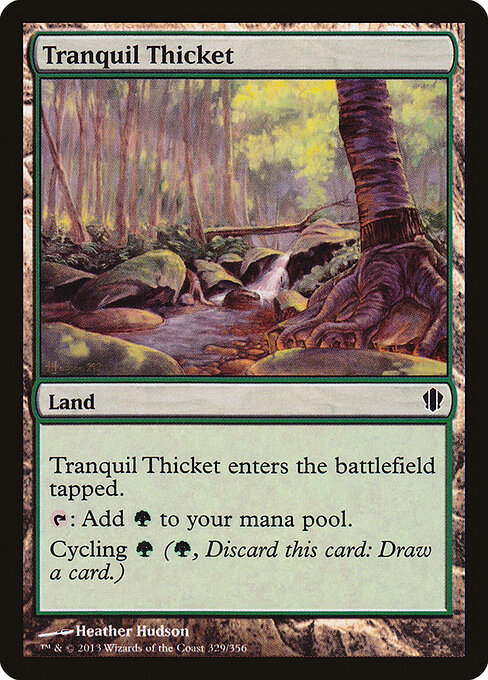 Tranquil Thicket 329